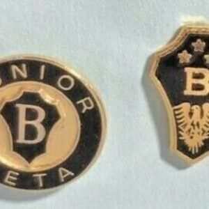 2 Junior Beta Gold Tone Collectible Small Fraternal Lapel Pins
